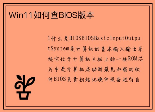 Win11如何查BIOS版本