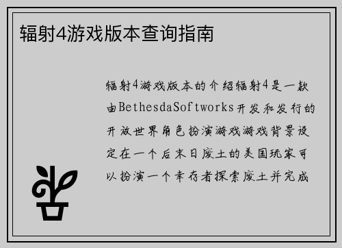辐射4游戏版本查询指南